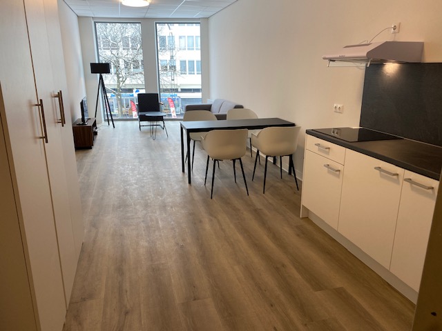 Collegeplein 9A - Image 8
